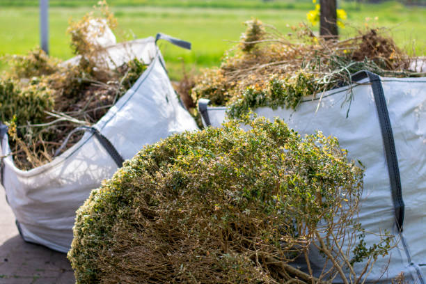 Best Dumpster Rental Services  in Twin Lakes, CO